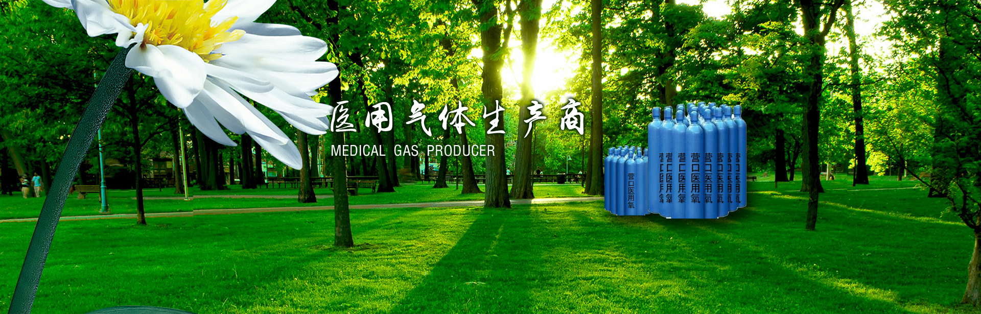 山東向陽(yáng)電子科技有限公司 